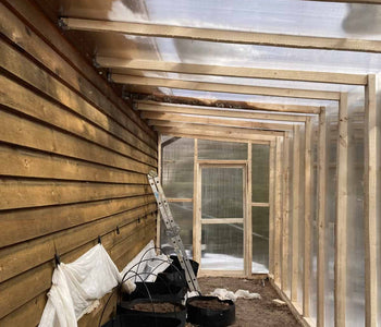 3 Sigma Greenhouses Later We Keep Choosing Planta