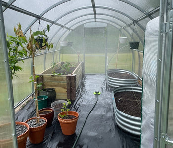 Early Starts and Frost Protection