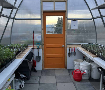 Now We’re Able to Start Our Own Plants!