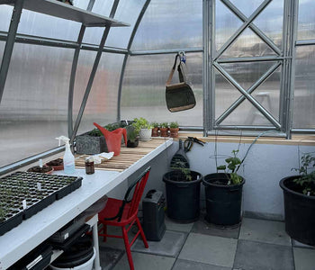 Now We’re Able to Start Our Own Plants!