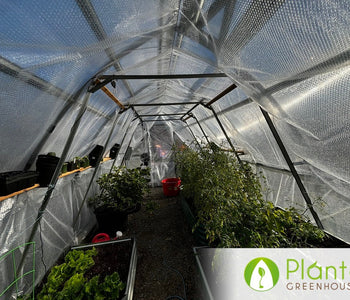 Controlling the Environment for Better Produce