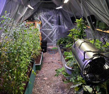 Controlling the Environment for Better Produce
