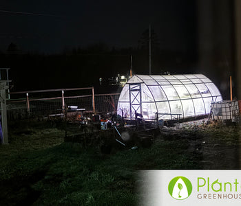 Controlling the Environment for Better Produce