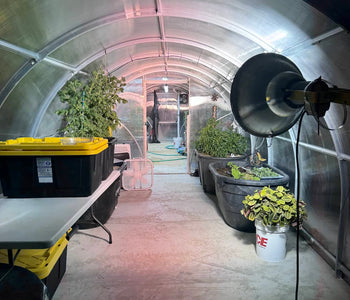 Experimenting with Year-Round Gardening in a 57-Foot Sigma