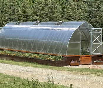 Growing Tomatoes and Peppers in the North