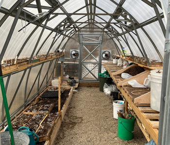 Star Garden: Growing With Purpose