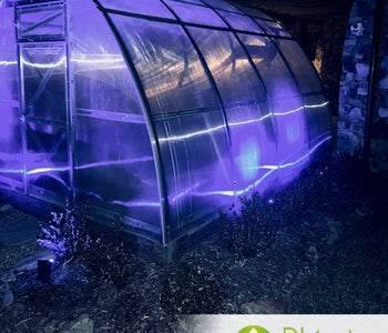 My Greenhouse Survived a Hurricane!