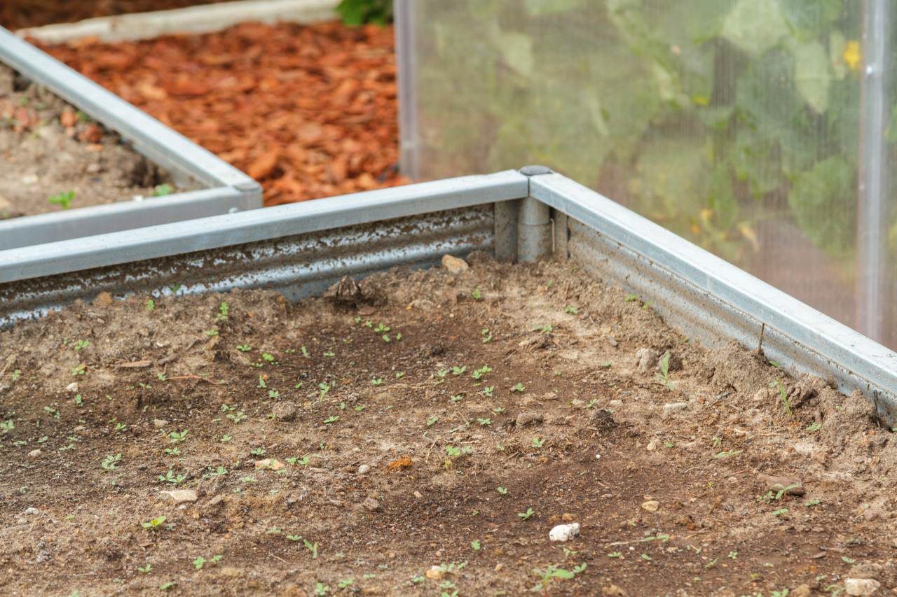Planta Garden Bed - 1 Tier