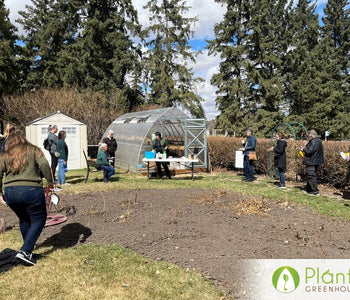 Star Garden: Growing With Purpose