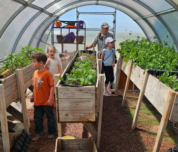 Turning It Into a 4-Season Greenhouse