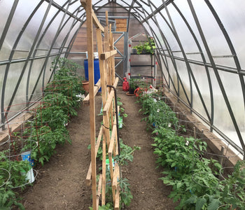 Extends the Growing Season and Keeps Our Chickens Warm in Winter!