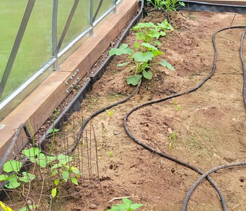 Built for Michigan Winters and Ready for Another Growing Season