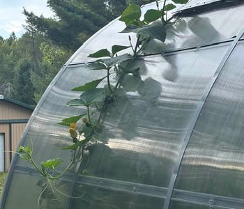 Built for Michigan Winters and Ready for Another Growing Season