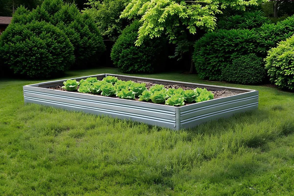 Planta Garden Bed - 1 Tier with green plants in a grassy area with bushes in the background