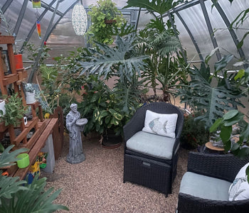 More Than a Greenhouse: A Year-Round Family Oasis