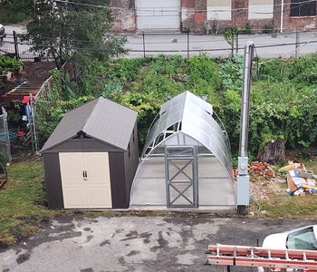 A Simple Way to Grow Healthier Plants with the Sungrow Urban