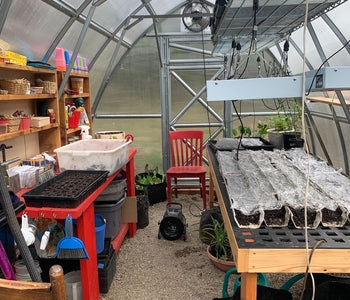 Growing Abundant Harvests in the Pacific Northwest with the Sungrow Urban