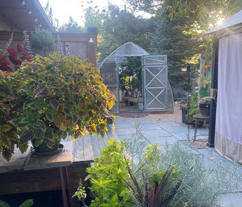 More Than a Greenhouse: A Year-Round Family Oasis
