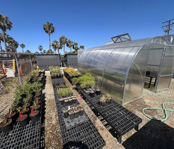 Growing Native Plants Faster with the Sungrow Urban Greenhouse