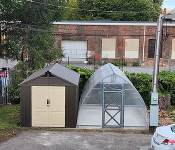 A Simple Way to Grow Healthier Plants with the Sungrow Urban