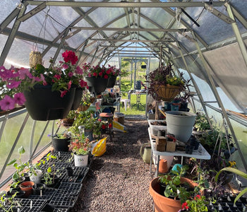 My Zen Bubble for Seedlings, Houseplants, and Year-Round Gardening