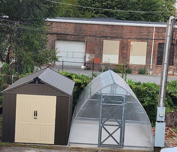 A Simple Way to Grow Healthier Plants with the Sungrow Urban