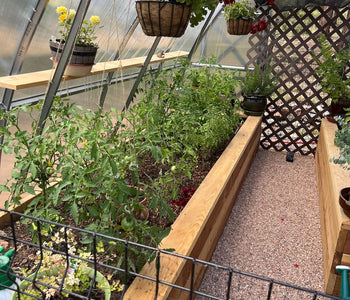 Growing at 8,800 Feet with the Sungrow Urban Greenhouse