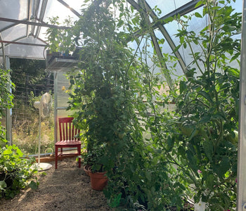 Growing Abundant Harvests in the Pacific Northwest with the Sungrow Urban