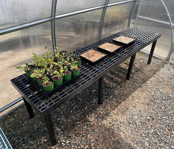 Growing Native Plants Faster with the Sungrow Urban Greenhouse