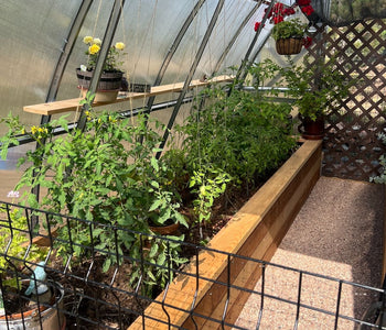 Growing at 8,800 Feet with the Sungrow Urban Greenhouse