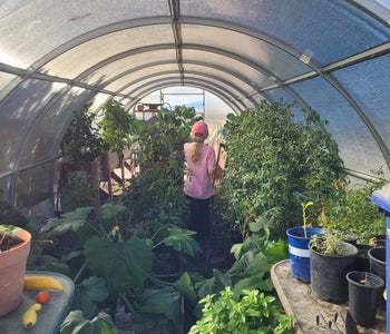 Turning It Into a 4-Season Greenhouse