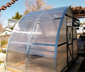 From Vegetables to Winter Plants