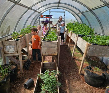 Turning It Into a 4-Season Greenhouse