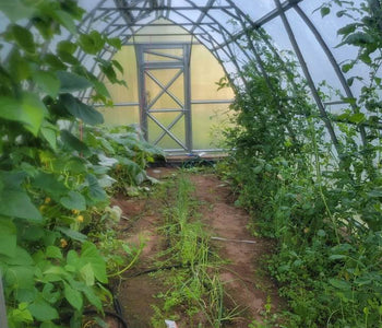 Built for Michigan Winters and Ready for Another Growing Season
