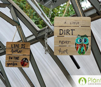 Star Garden: Growing With Purpose