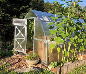 Loving My Greenhouse