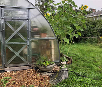 Loving My Greenhouse