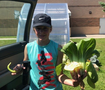 A School Year in the Greenhouse