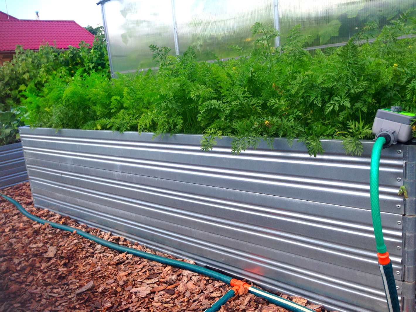 Plants and herbs growing in Planta Garden Bed - 3 Tiers