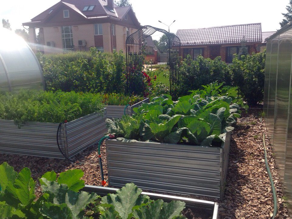 Plants in Planta Garden Bed - 3 Tiers