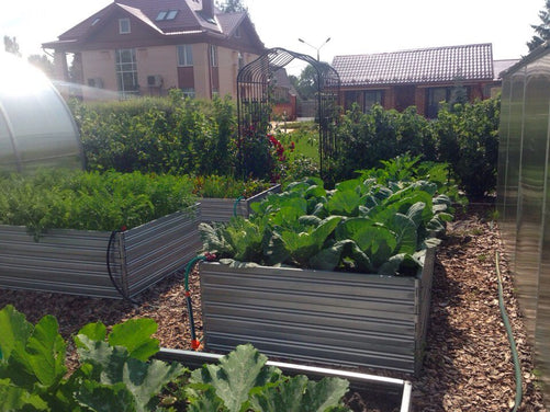 Plants in Planta Garden Bed - 3 Tiers
