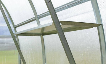 Sgeilpichean taigh-glainne